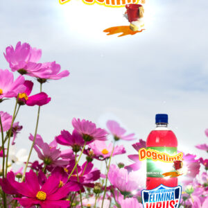 Dogolimp® Limpiador multiusos floral