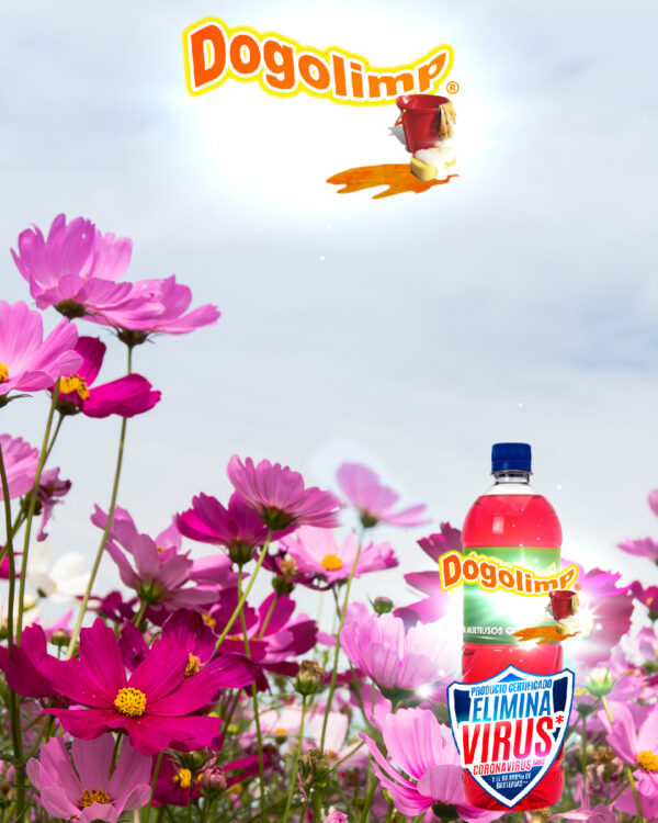 Dogolimp® Limpiador multiusos floral