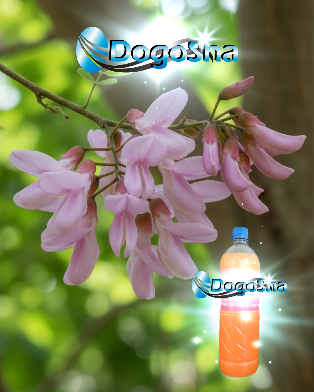 Dogosha® shampoo de extracto natural de cacahuananche