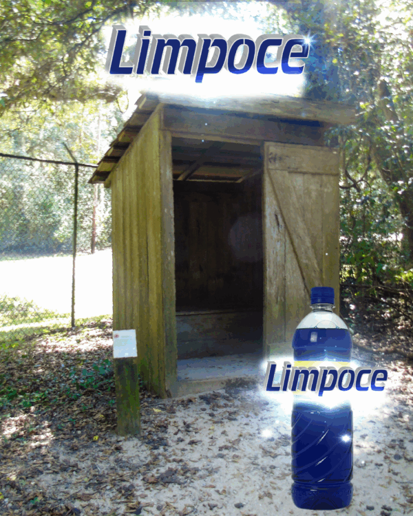 Limpoce® Limpiador Líquido para Sanitarios Móviles - Imagen 3