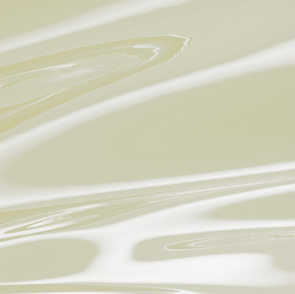 Desdiel® Desengrasante Dieléctrico - Imagen 4