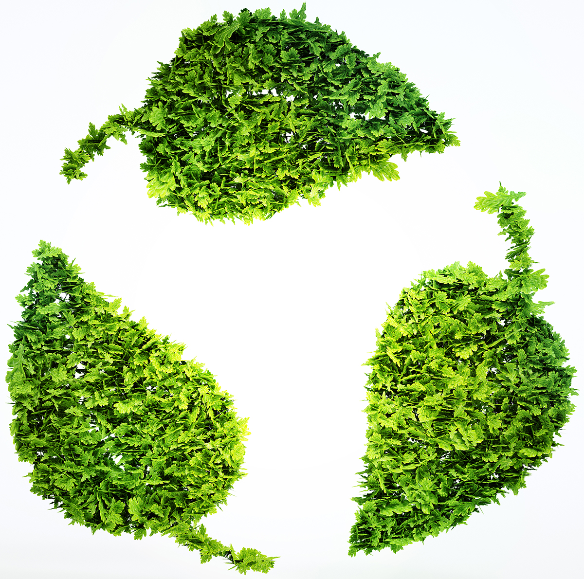 Eco sustainable concept.