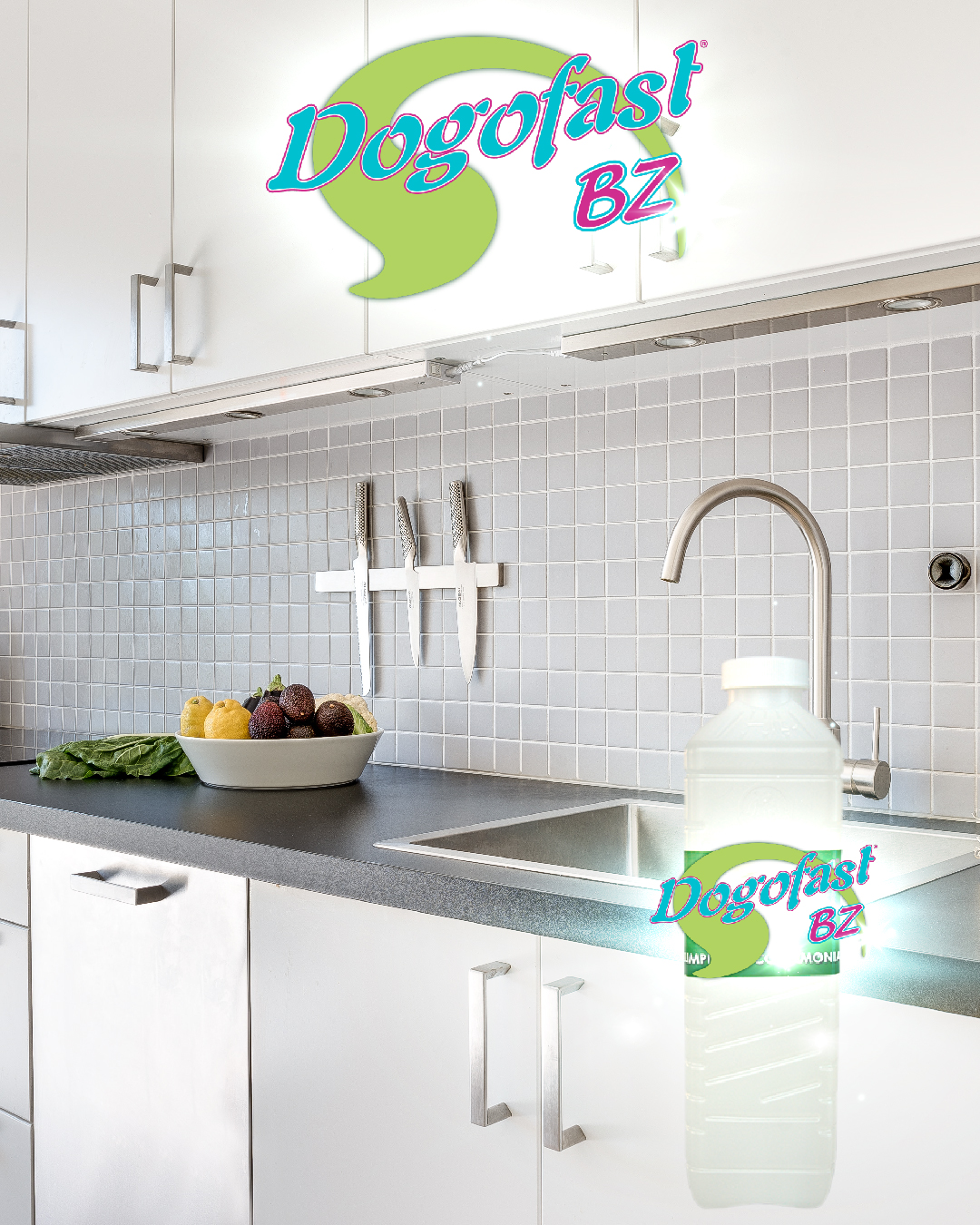 Dogofast BZ® Desengrasante multiusos con amonia - Imagen 2
