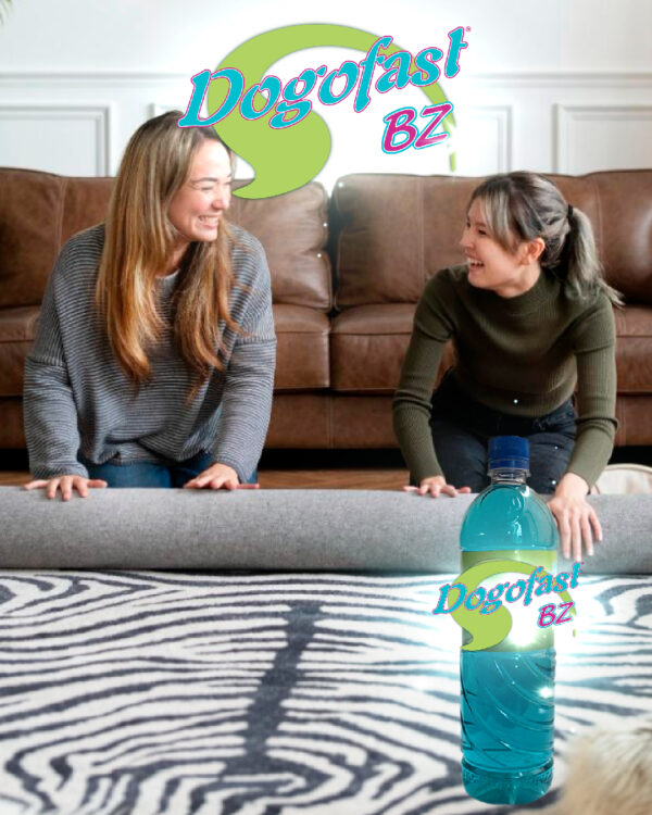 Dogofast BZ® Shampoo para tapicería - Imagen 3