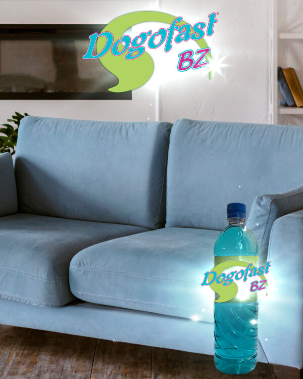 Dogofast BZ® Shampoo para tapicería - Imagen 2