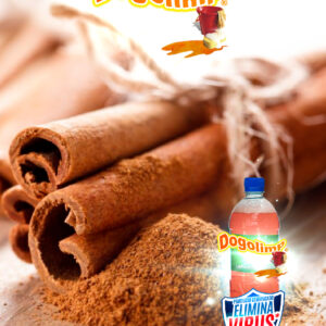 Dogolimp® Limpiador multiusos canela