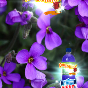 Dogolimp® Limpiador multiusos violetas
