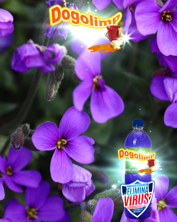 Dogolimp® Limpiador multiusos violetas