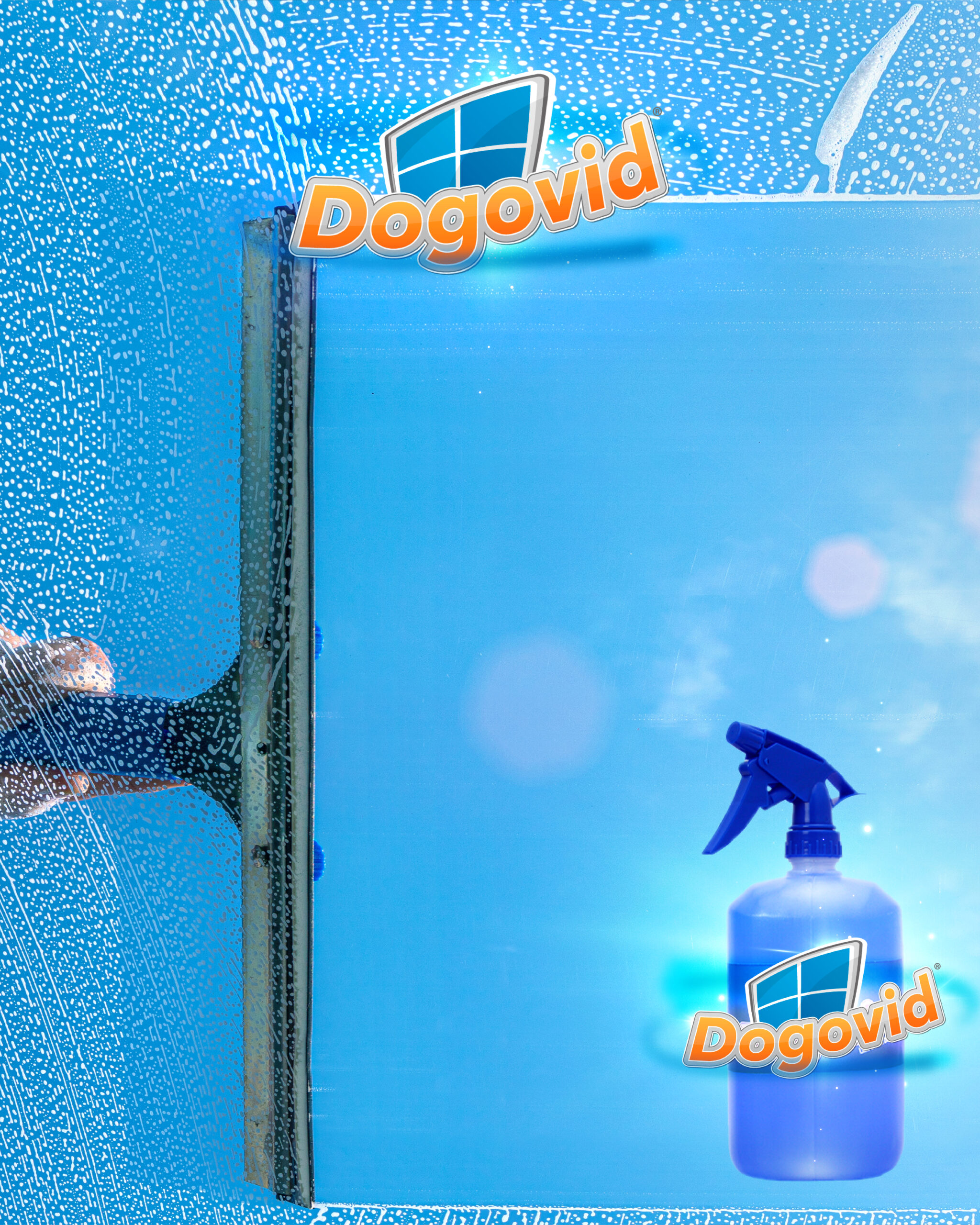 Dogovid® Limpiador líquido para vidrios