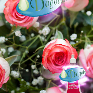 Dogobact® Jabón líquido para manos aroma rosas