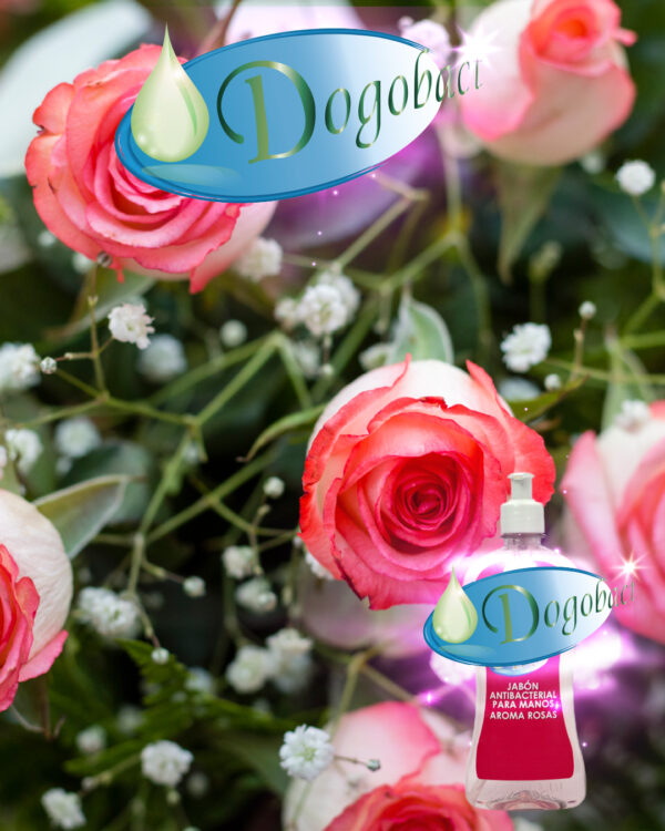 Dogobact® Jabón líquido para manos aroma rosas