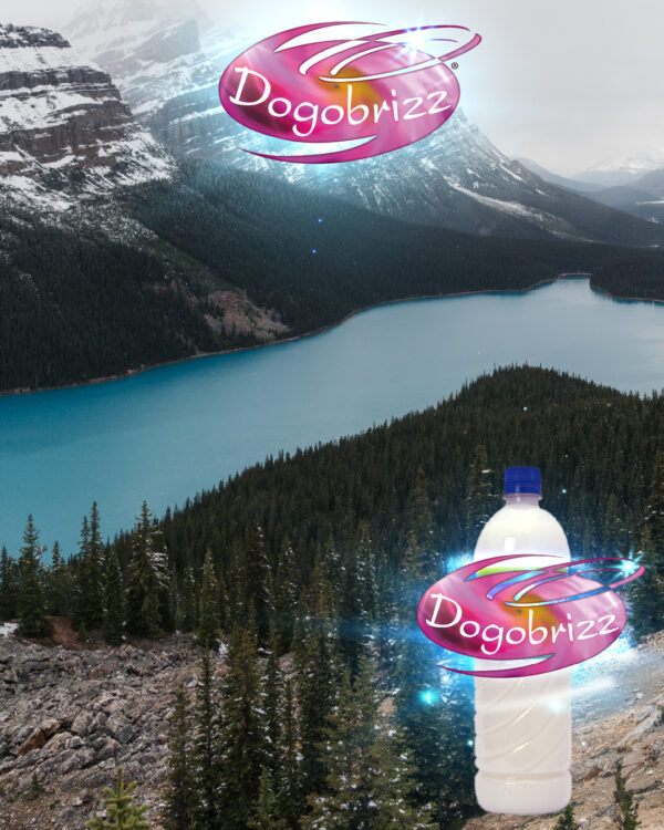 Dogobrizz® Aromatizante ambiental alaska - Imagen 2