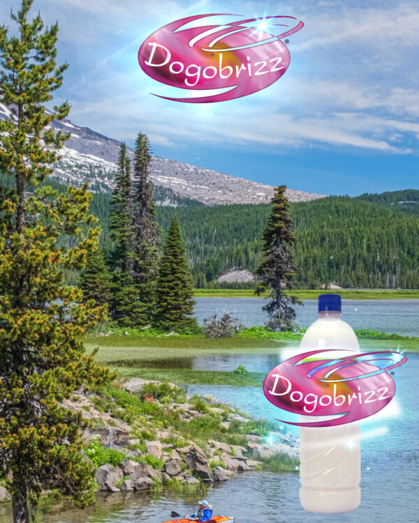 Dogobrizz® Aromatizante ambiental alaska