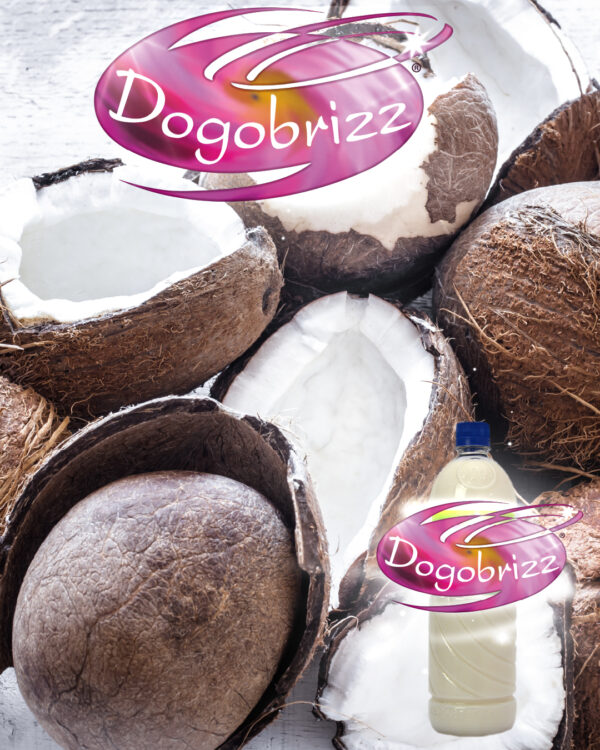 Dogobrizz® Aromatizante ambiental coco