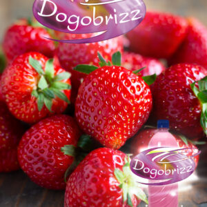 Dogobrizz® Aromatizante ambiental fresa