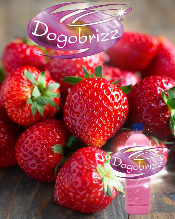 Dogobrizz® Aromatizante ambiental fresa