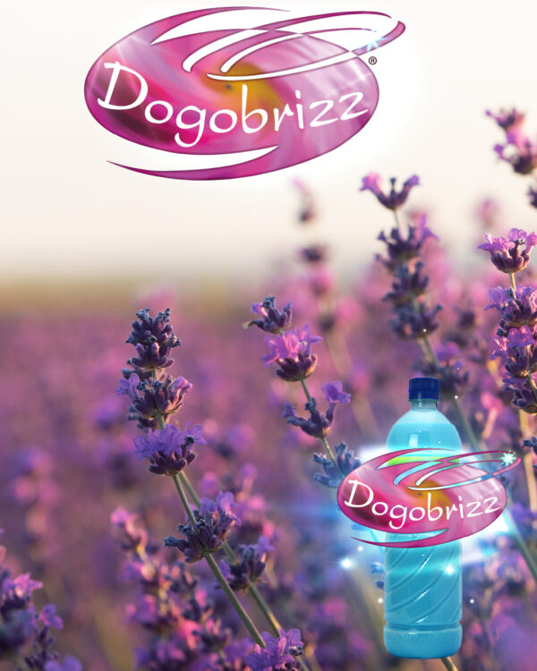 Dogobrizz® Aromatizante ambiental lavanda