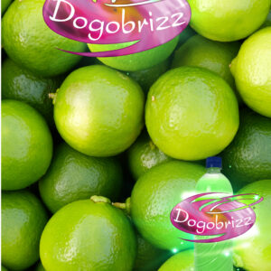 Dogobrizz® Aromatizante ambiental limón