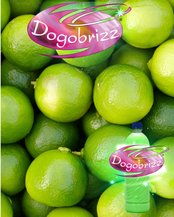 Dogobrizz® Aromatizante ambiental limón