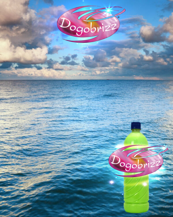 Dogobrizz® Aromatizante ambiental mar fresco