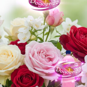 Dogobrizz® Aromatizante ambiental rosas y jazmín