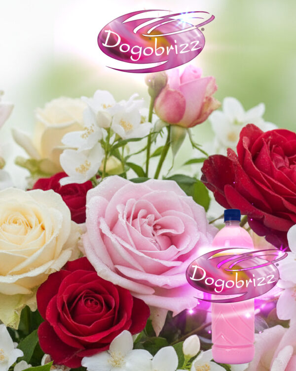 Dogobrizz® Aromatizante ambiental rosas y jazmín