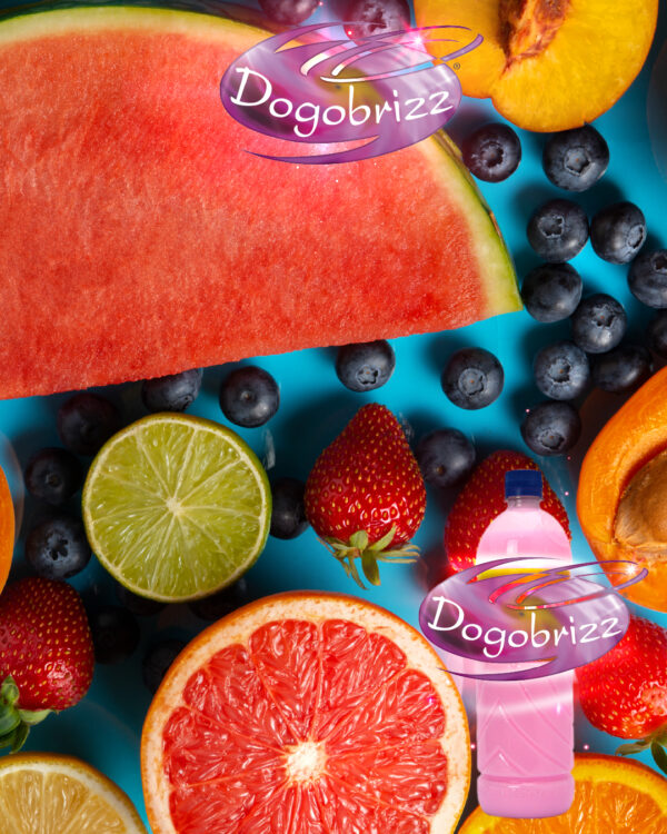 Dogobrizz® Aromatizante ambiental tutti frutti