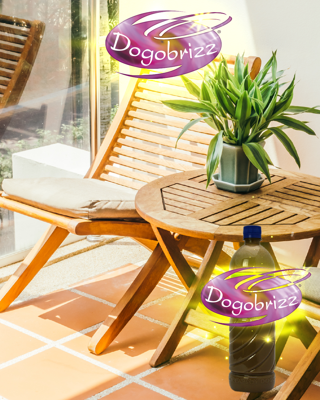 Dogobrizz® Aromatizante ambiental vainilla - Imagen 2