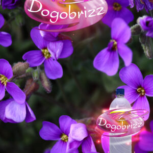Dogobrizz® Aromatizante ambiental violetas