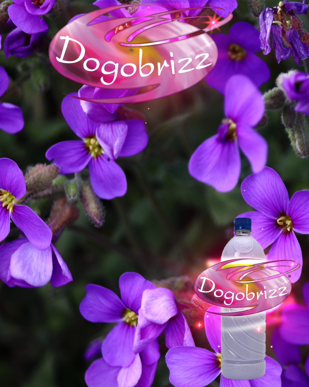 Dogobrizz® Aromatizante ambiental violetas