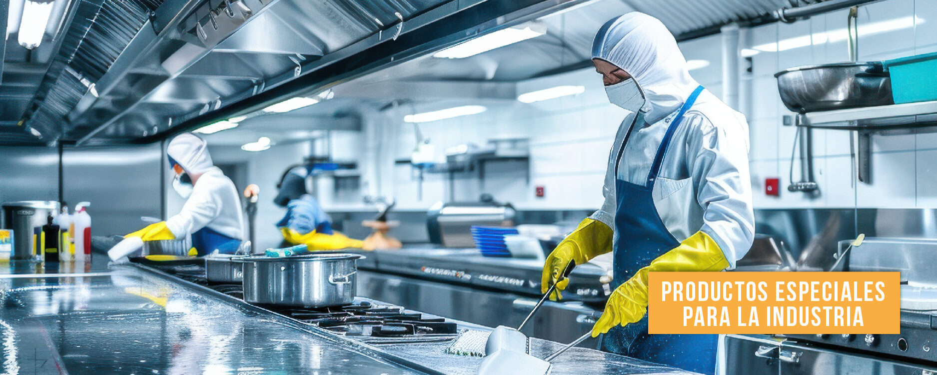 imagenes lineas web-02