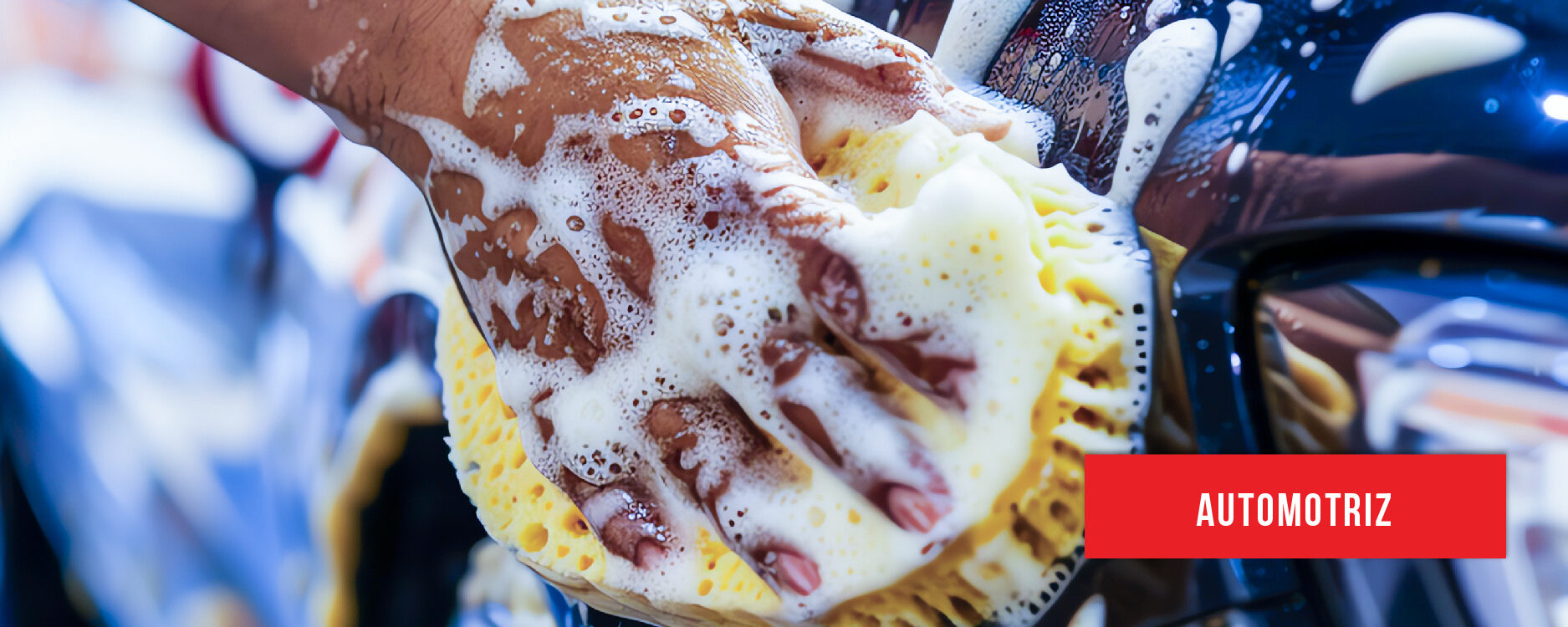 imagenes lineas web-05