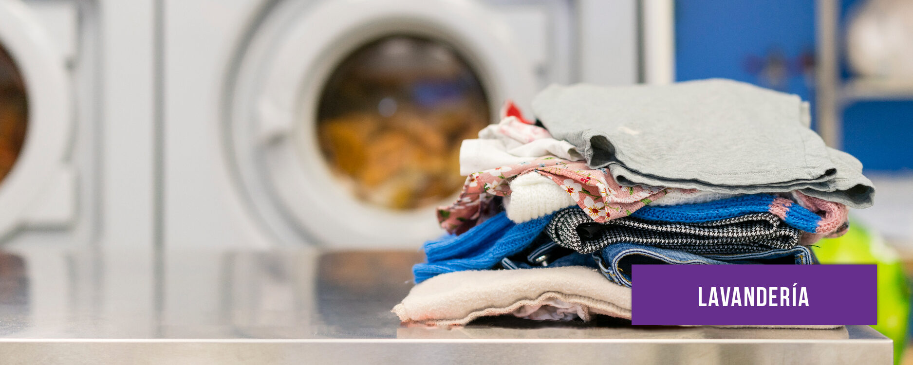 imagenes lineas web-06